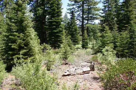 8860 Lahontan Dr, Truckee, CA 96161 photo 4