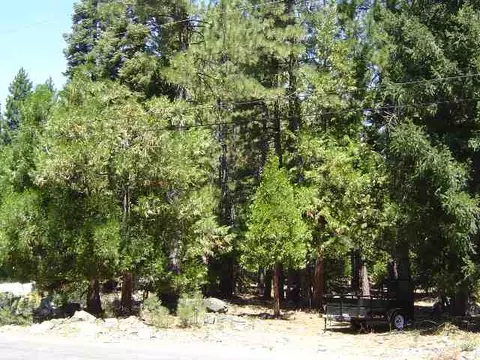 3 Wappo Trail, Graeagle, CA 96103 photo 1