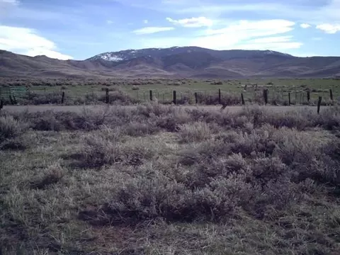 93875 Chilcoot Ave, Chilcoot, CA 96105 photo 1
