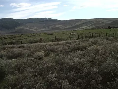 93875 Chilcoot Ave, Chilcoot, CA 96105 photo 4