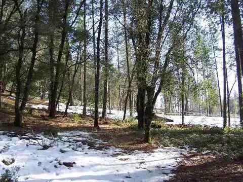 895 Pine Forest Rd, Colfax, CA 95713 photo 2