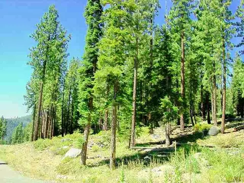 12376 Sierra Dr, Truckee, CA 96161 photo 3