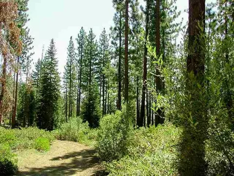 12376 Sierra Dr, Truckee, CA 96161 photo 6