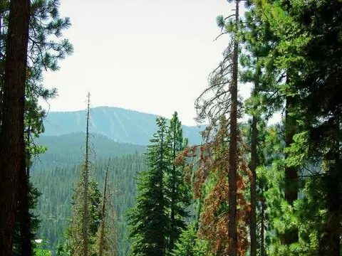 12376 Sierra Dr, Truckee, CA 96161 photo 1