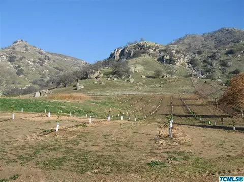 18402 Road 320, Springville, CA 93265 photo 13