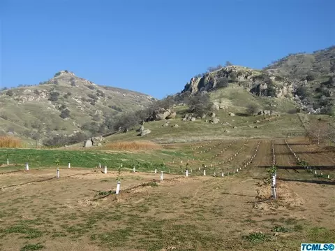 18402 Road 320, Springville, CA 93265 photo 14