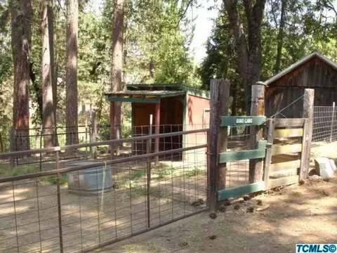 54196 N Highway 245, Miramonte, CA 93641 photo 28
