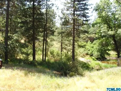 54196 N Highway 245, Miramonte, CA 93641 photo 21