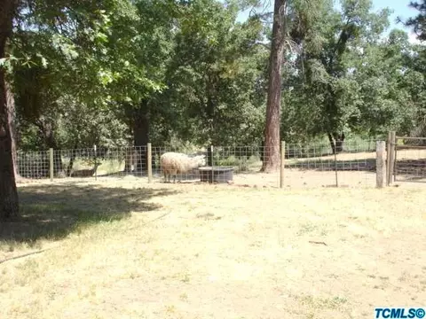 54196 N Highway 245, Miramonte, CA 93641 photo 24