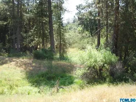 54196 N Highway 245, Miramonte, CA 93641 photo 22