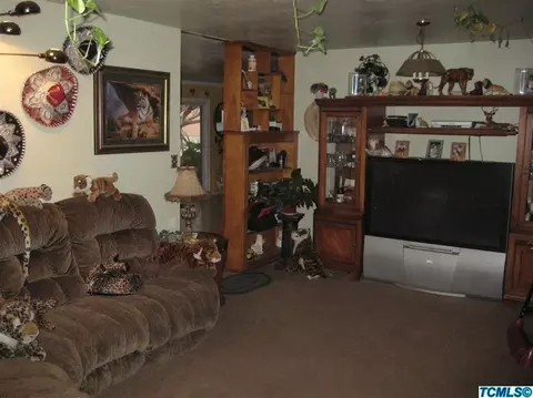 32915 Road 160, Ivanhoe, CA 93235 photo 5