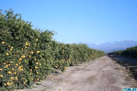 31342 Road 212, Exeter, CA 93221 photo 1