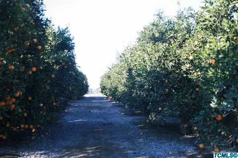 31342 Road 212, Exeter, CA 93221 photo 2