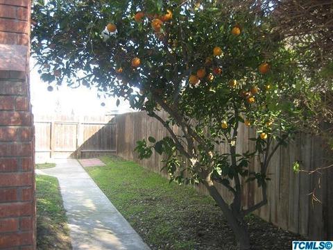 929 Cedar Ln, Lemoore, CA 93245 photo 20