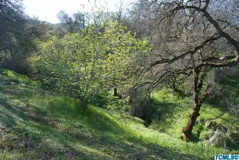 43672 Skyline Dr, Three Rivers, CA 93271 photo 19