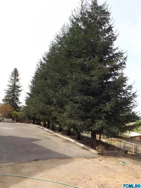 30723 Hamilton Dr, Exeter, CA 93221 photo 17