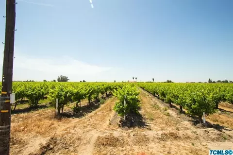 42195 Road 68, Dinuba, CA 93618 photo 30