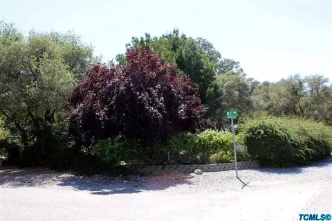 40873 Elk Dr, Three Rivers, CA 93271 photo 13