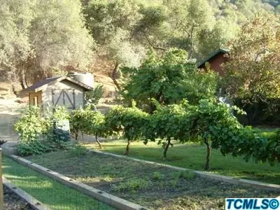 45678 Sierra Dr, Three Rivers, CA 93271 photo 5