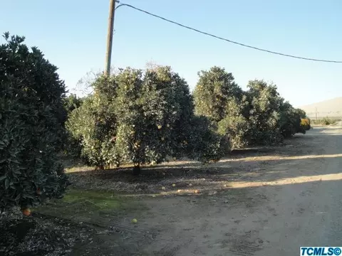 26095 Road 212, Exeter, CA 93221 photo 1