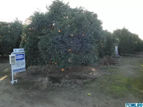 26095 Road 212, Exeter, CA 93221 photo 2
