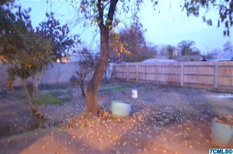 1920 E Mountain View Way, Dinuba, CA 93618 photo 23