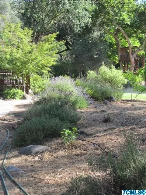 44303 S South Fork Dr, Three Rivers, CA 93271 photo 8