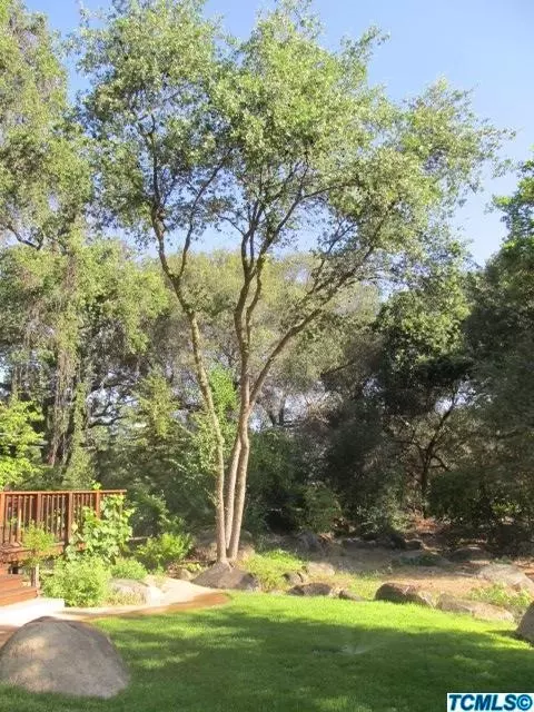 44303 S South Fork Dr, Three Rivers, CA 93271 photo 5