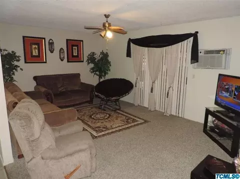 15916 Citrus Ave, Ivanhoe, CA 93235 photo 14