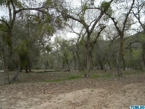 41894 N North Fork Dr, Three Rivers, CA 93271 photo 13
