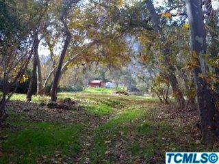 41894 N North Fork Dr, Three Rivers, CA 93271 photo 18