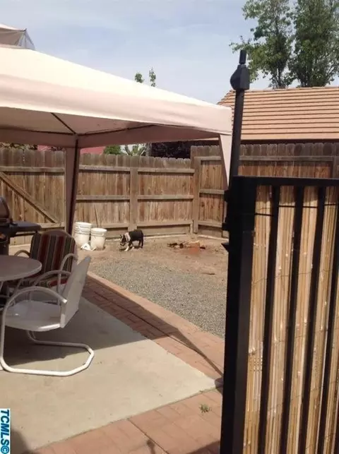 2521 E Harold Ct, Visalia, CA 93292 photo 9