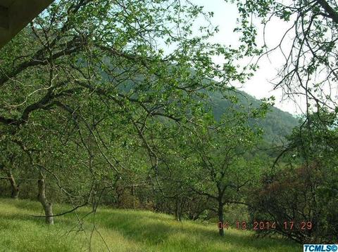 45485 Oak Grove Dr, Three Rivers, CA 93271 photo 8