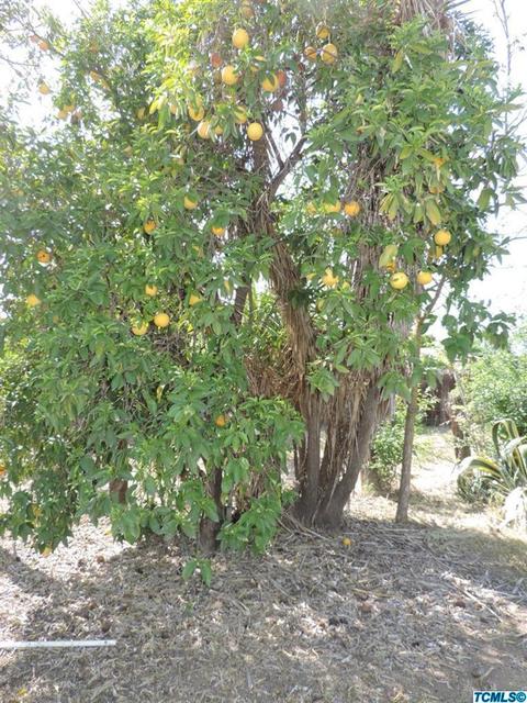 1070 E Academy Way, Dinuba, CA 93618 photo 37