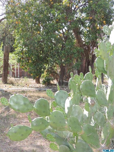 1070 E Academy Way, Dinuba, CA 93618 photo 36