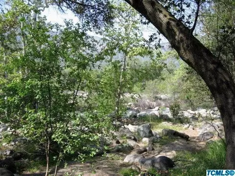 43232 Sunset Dr, Three Rivers, CA 93271 photo 8