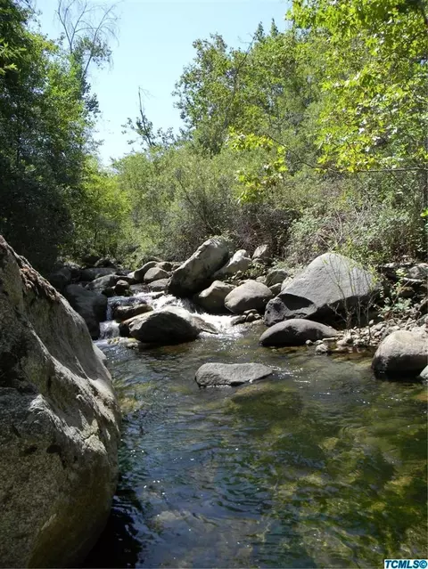 46136 S South Fork Dr, Three Rivers, CA 93271 photo 10