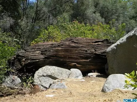 46136 S South Fork Dr, Three Rivers, CA 93271 photo 16