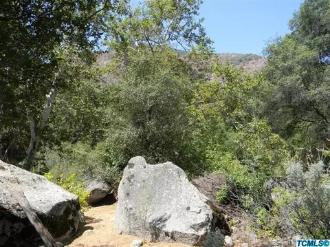 46136 S South Fork Dr, Three Rivers, CA 93271 photo 17