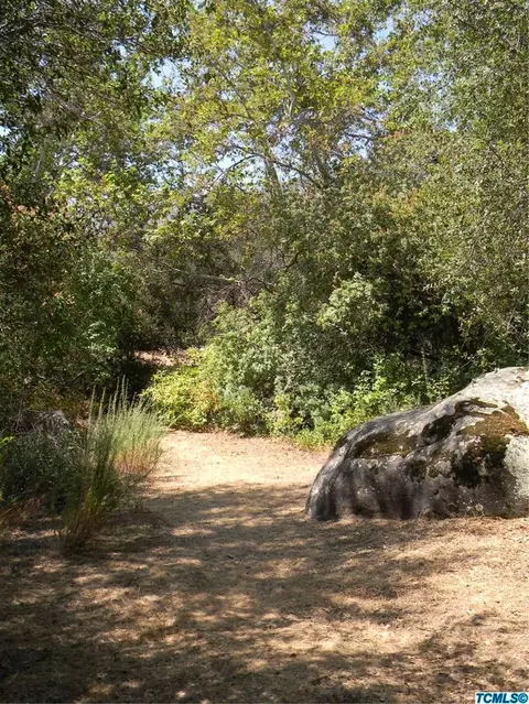 46136 S South Fork Dr, Three Rivers, CA 93271 photo 9