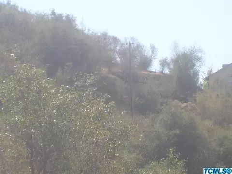 52081 Redbud Ln, Squaw Valley, CA 93675 photo 18