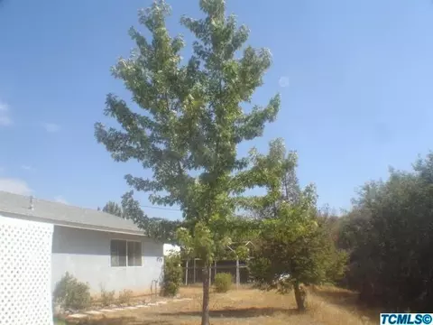 52081 Redbud Ln, Squaw Valley, CA 93675 photo 12