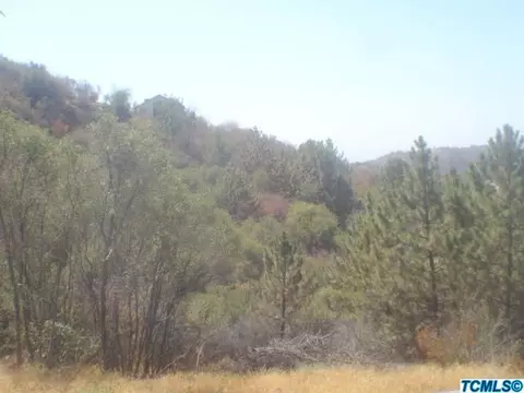 52081 Redbud Ln, Squaw Valley, CA 93675 photo 15