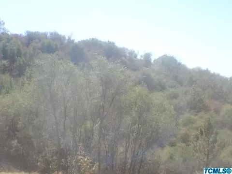 52081 Redbud Ln, Squaw Valley, CA 93675 photo 17