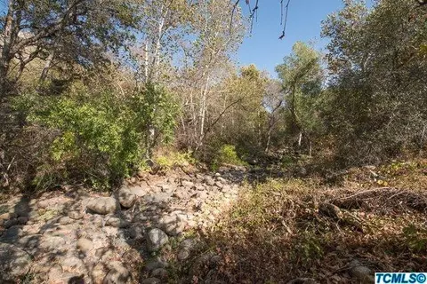 41114 Oakridge, Three Rivers, CA 93271 photo 17