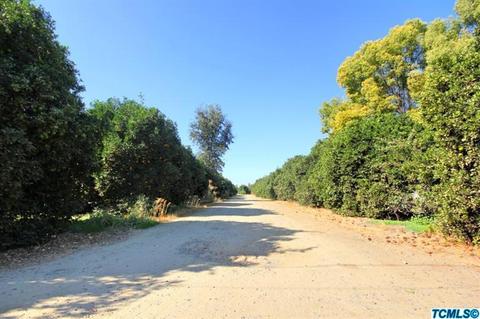 33339 Road 160, Ivanhoe, CA 93235 photo 2