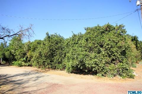 33339 Road 160, Ivanhoe, CA 93235 photo 3
