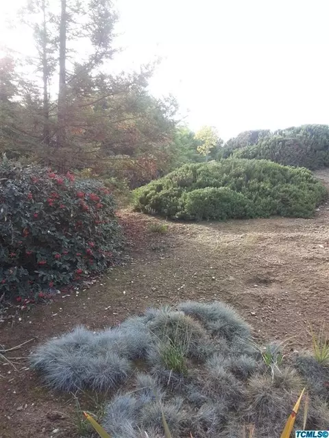 501 High Sierra Dr, Exeter, CA 93221 photo 39