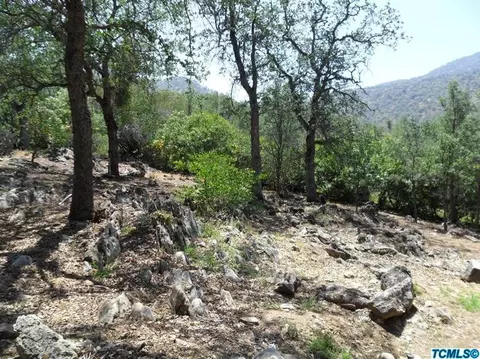41015 Oak Ridge Dr, Three Rivers, CA 93271 photo 11