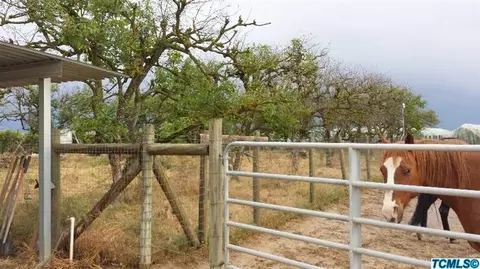 19831 E Adams Ave, Reedley, CA 93654 photo 19